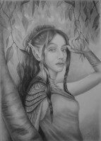 /album/fotogaleria/elfka-29-5-2017-jpg/